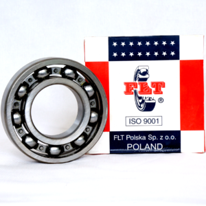 6007 Ball Bearing FLT