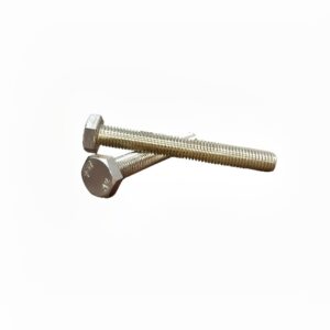 4 Aani (1/4") SS Hex Bolt