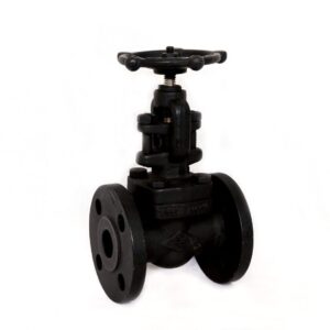 Flange End Gate Valve FLOVIN